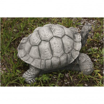 Schildkröte