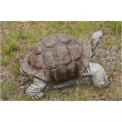 Schildkröte