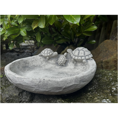 Tränke Schildkröten