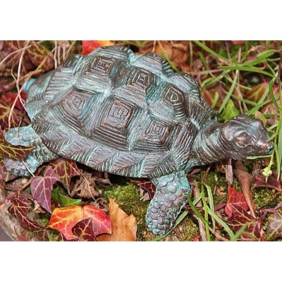 Schildkröte