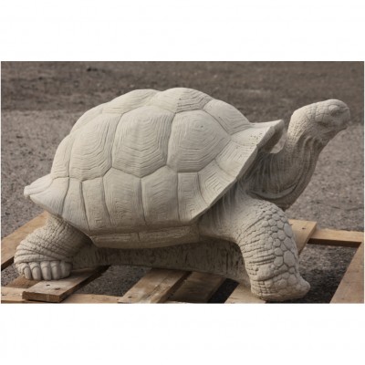 Schildkröte gross