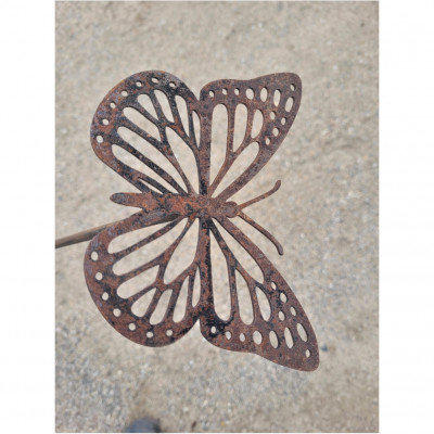 Schmetterling