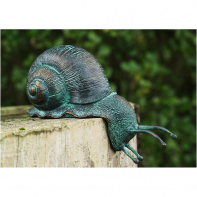 Kantenhocker Schnecke