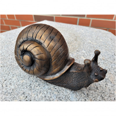 Schnecke