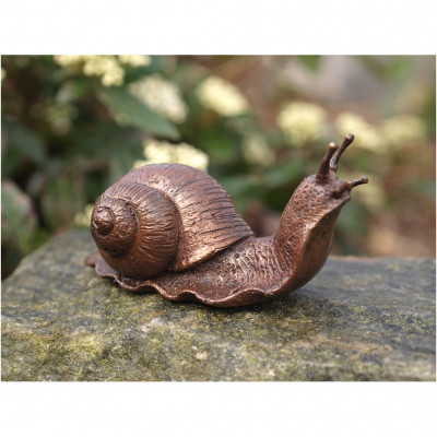 Schnecke Bronze