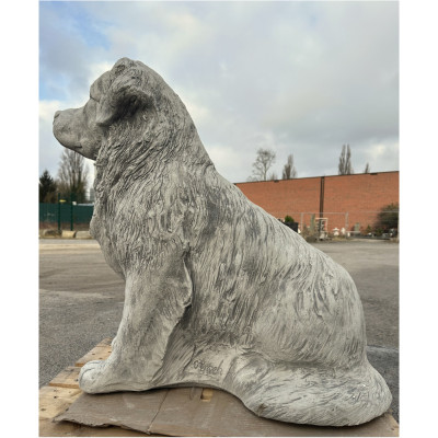 Berner Sennenhund