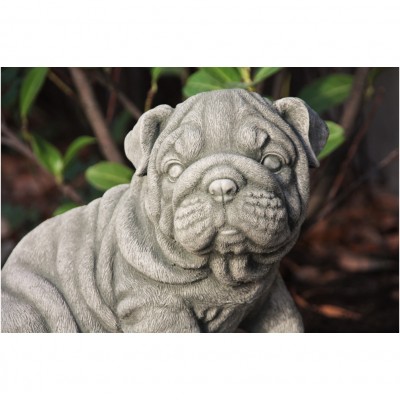 Mops
