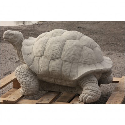 Schildkröte gross