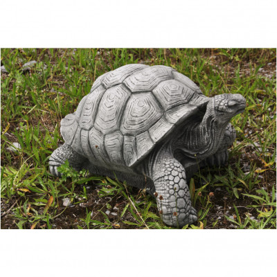 Schildkröte