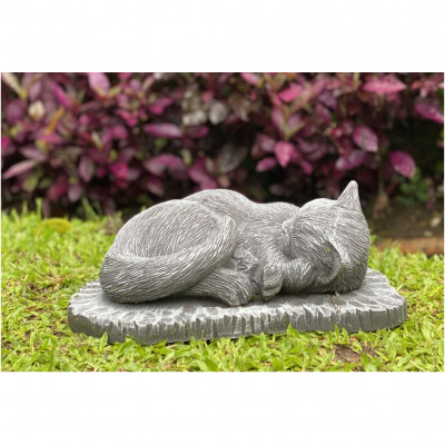 Katze liegend