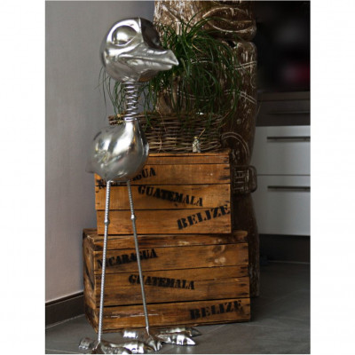 Silberne Möwe Mittel