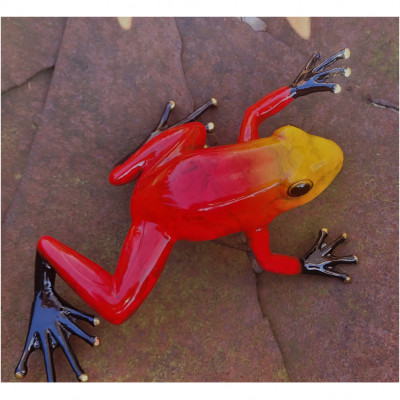 Bronze Frosch