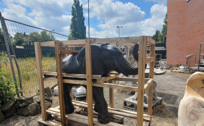 Elefant gross