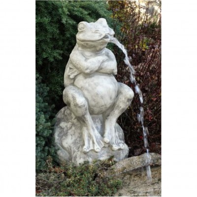 Wasserspeier Frosch
