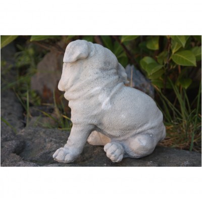 Hund