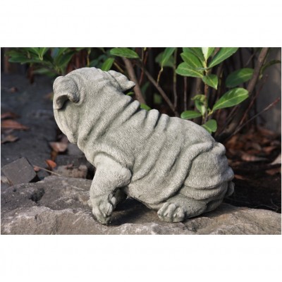 Mops