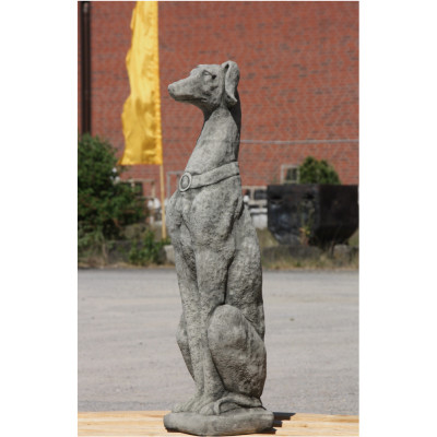 Windhund
