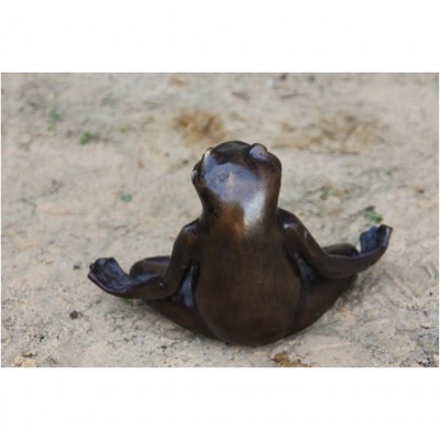 Yoga Frosch