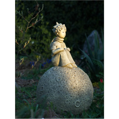 Prinz auf dem Mond