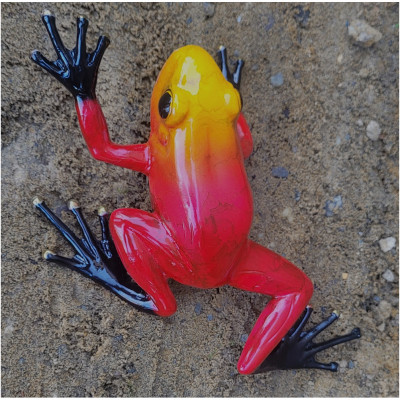 Bronze Frosch