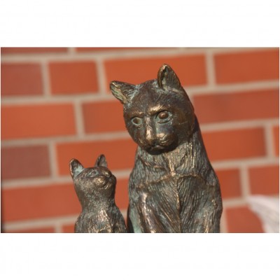 Katzen Pärchen