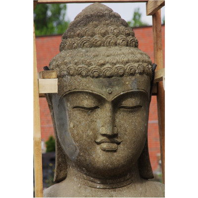 Buddha Büste