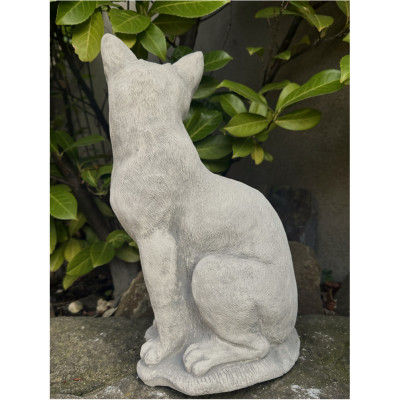 Katze 38 H