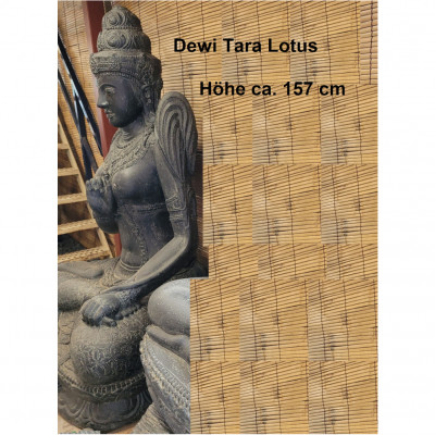 Dewi Tara 157 H