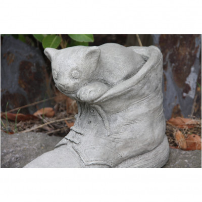 Katze im Schuh