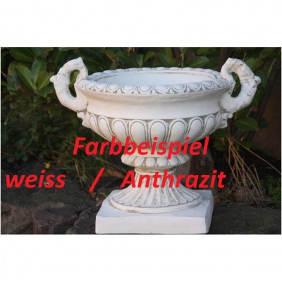 Amphore