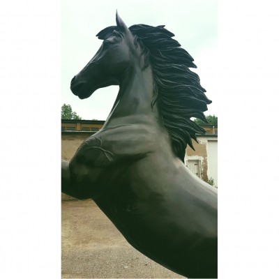 Pferd 228 H