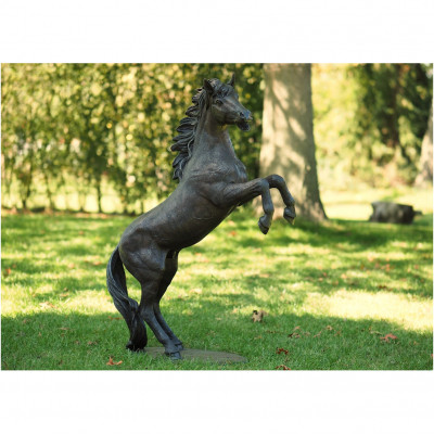 Pferd steigend
