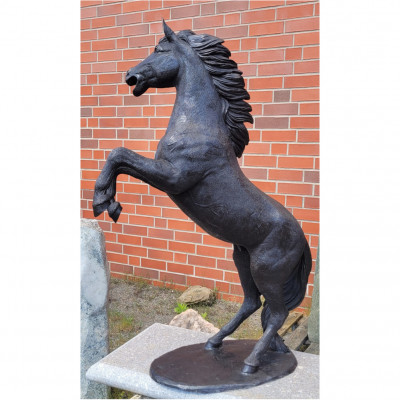 Pferd steigend