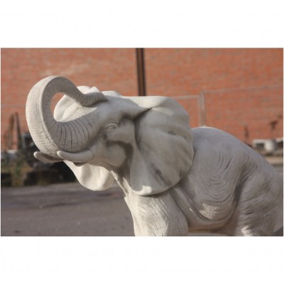 Elefant