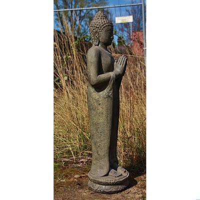Buddha stehend