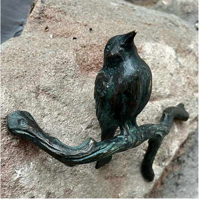 Rotkehlchen