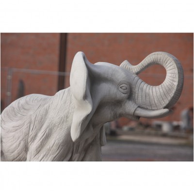 Elefant